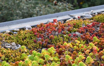 the cost of Buckland Brewer green roof installation