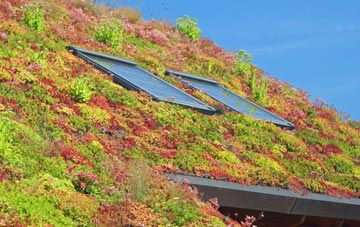Buckland Brewer living roof systems